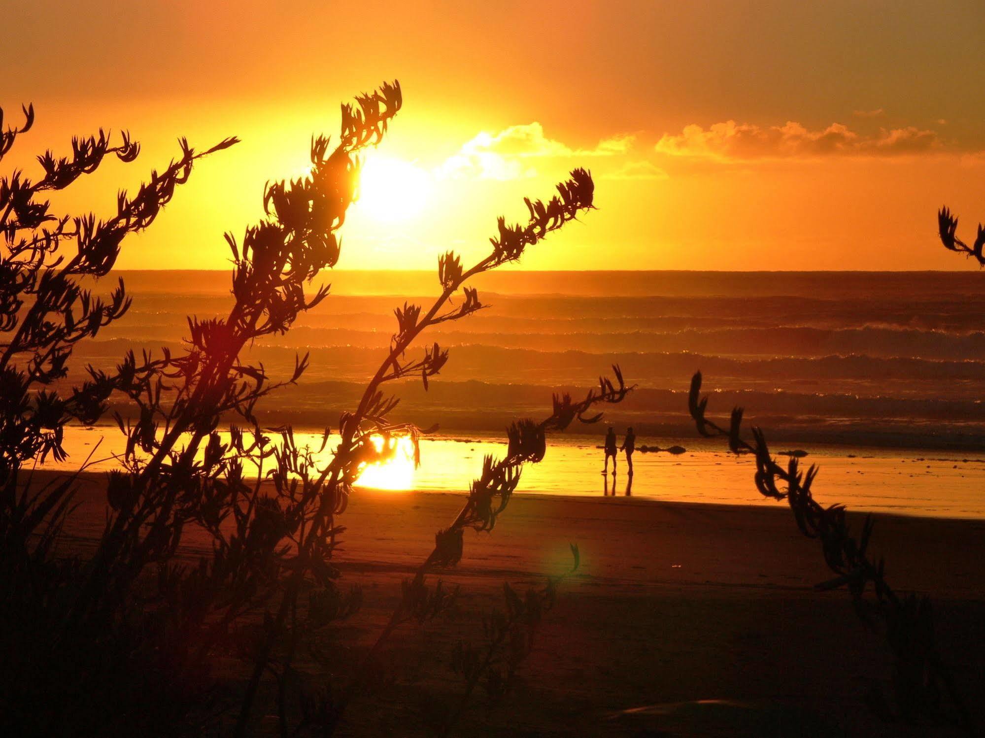 Oakura Beach Holiday Park Екстериор снимка